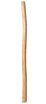 Natural Finish Didgeridoo (TW619)